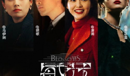 搜索连电视剧全集土豆